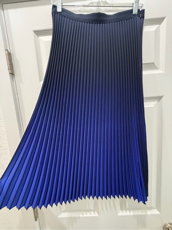 Reiss Dresses & Skirts - Reiss Navy to Royal Blue Pleated Midi Skirt
